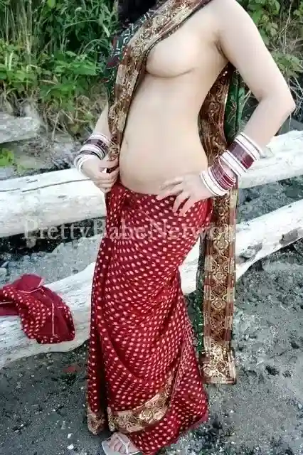 InCall (5 Star Hotels) Escorts Service - Indian escort in Delhi